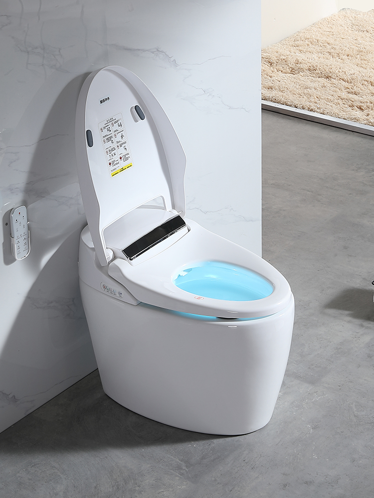 Các loại bồn cầu phổ biến tại Bến Cát Bình Dương hiện nay