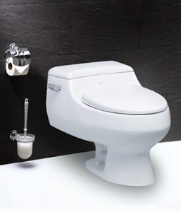 Top 5 mẫu bồn cầu xả nước tốt nhất - Caesar