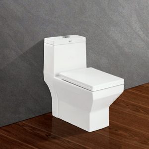 Bồn cầu Viglacera